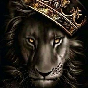 Meet your Posher, Tony